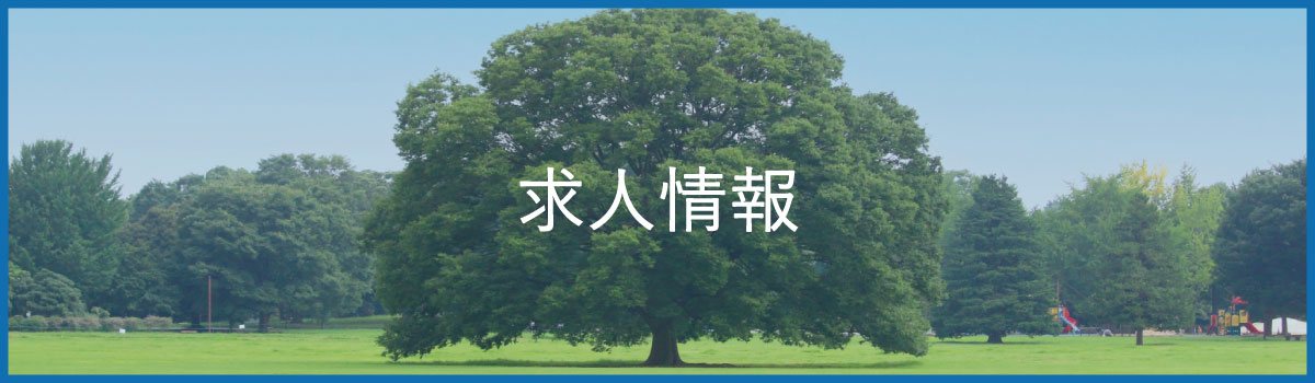 求人情報